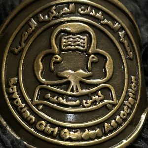 Girl Guides of Egypt Metal Woogle slide