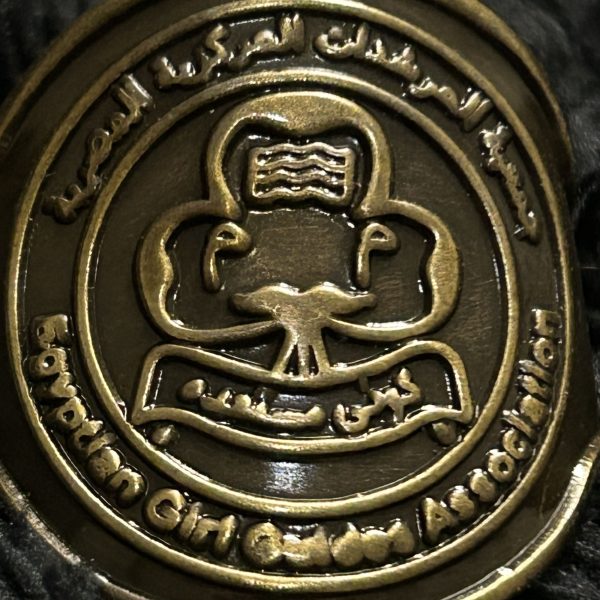 Girl Guides of Egypt Metal Woogle slide
